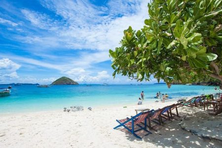 Coral and Racha Islands by Speed Boat